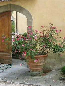 Strozzi Διαμέρισμα *
